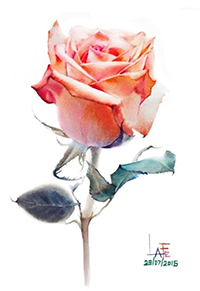 LaFe Rose watercolor
